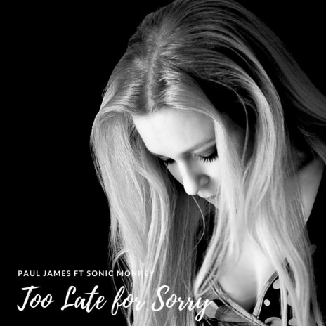 Too Late for Sorry (Bad tempered pussy remix edit) ft. Sonic Monkey | Boomplay Music