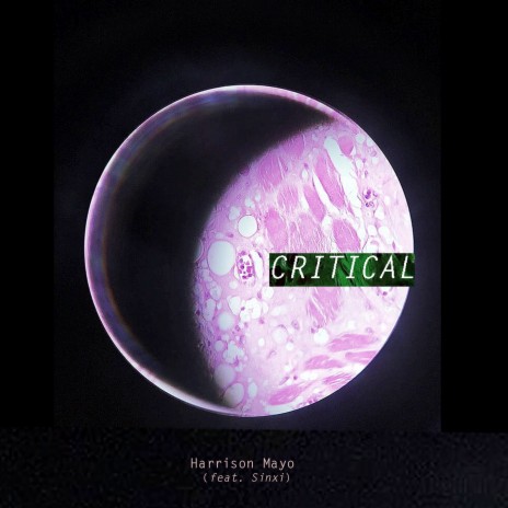 Critical ft. Sinxi | Boomplay Music
