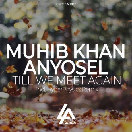 Till We Meet Again (Extended Mix) ft. Anyosel