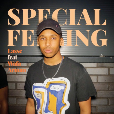 Special Feeling ft. Wafa Arman | Boomplay Music