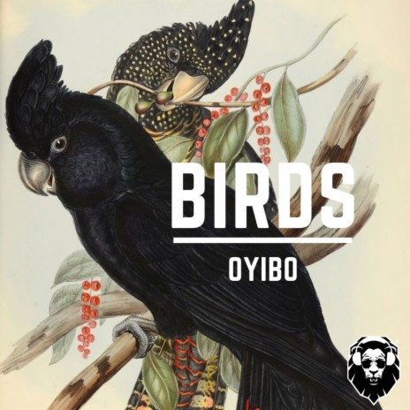 Birds (Original Mix) | Boomplay Music