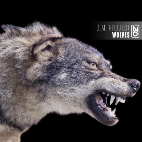 Wolves (Radio Edit) | Boomplay Music