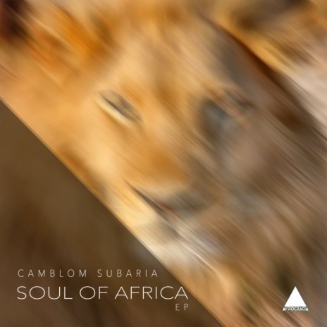 Drums Of Africa (Original Mix)