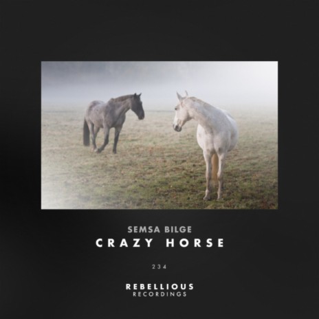 Crazy Horse (Original Mix) | Boomplay Music
