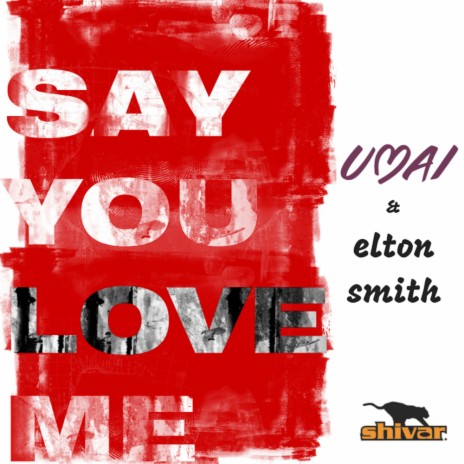 Say You Love Me (Radio Mix) ft. Elton Smith | Boomplay Music