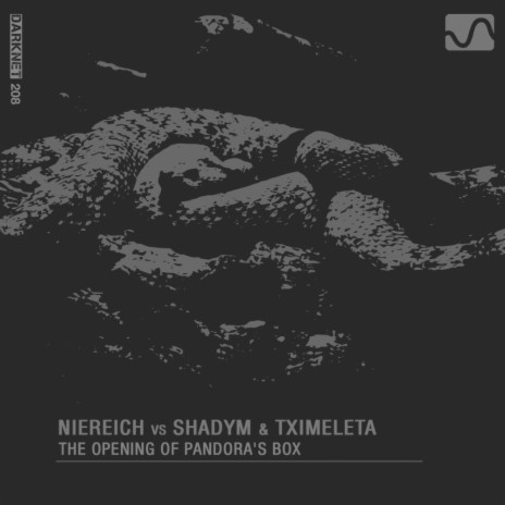 The Opening of Pandora's Box (Original Mix) ft. Shadym & Tximeleta | Boomplay Music