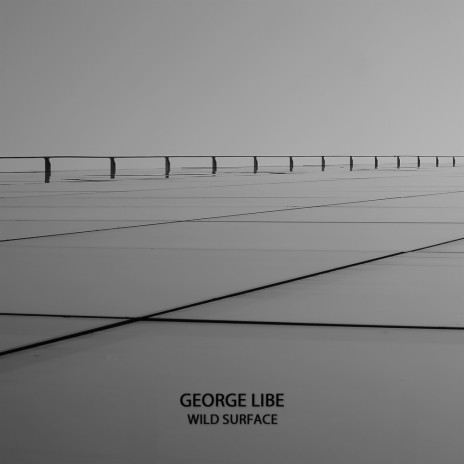 Wild Surface (Original Mix)