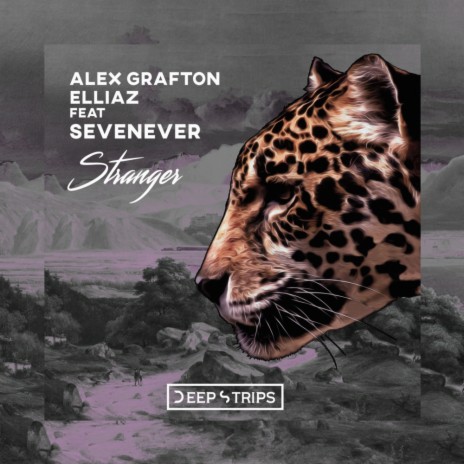 Stranger (Original Mix) ft. Elliaz & SevenEver | Boomplay Music