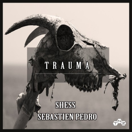 Trauma (Original Mix) ft. Sebastien Pedro | Boomplay Music