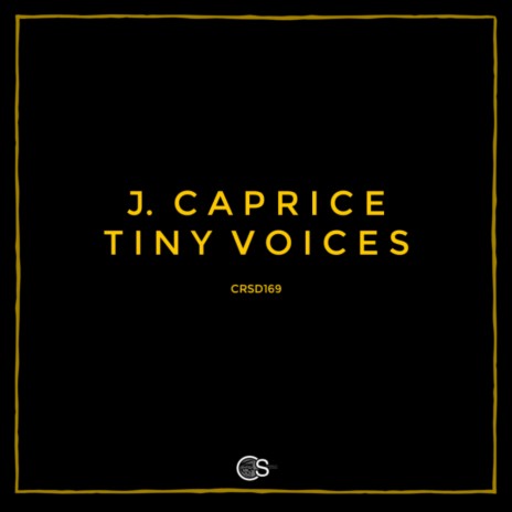 Tiny Voices (Original Mix) | Boomplay Music