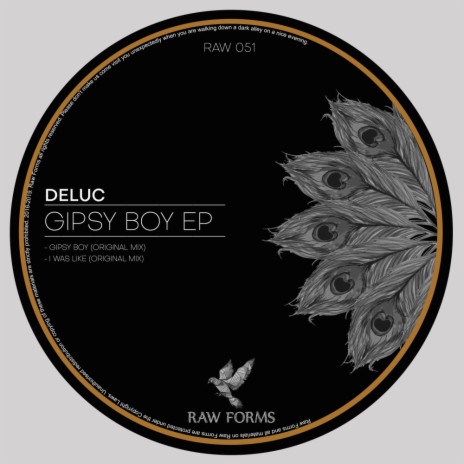 Gipsy Boy (Original Mix) | Boomplay Music