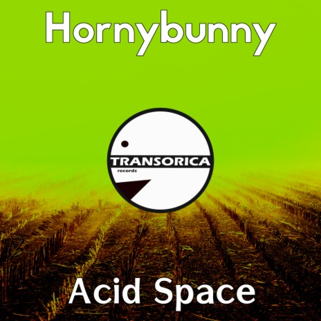 Acid Space (Original Mix)