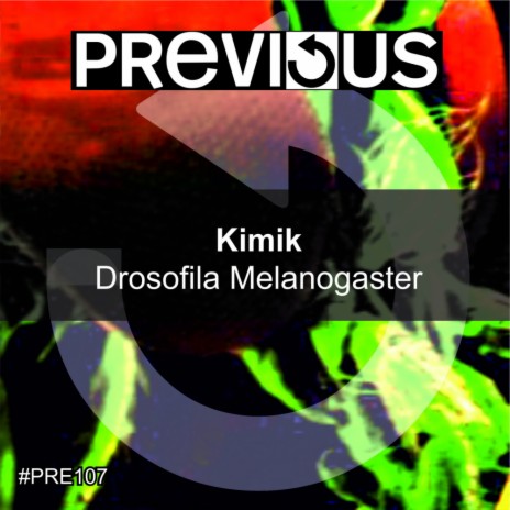 Drosofila Melanogaster (Original Mix)
