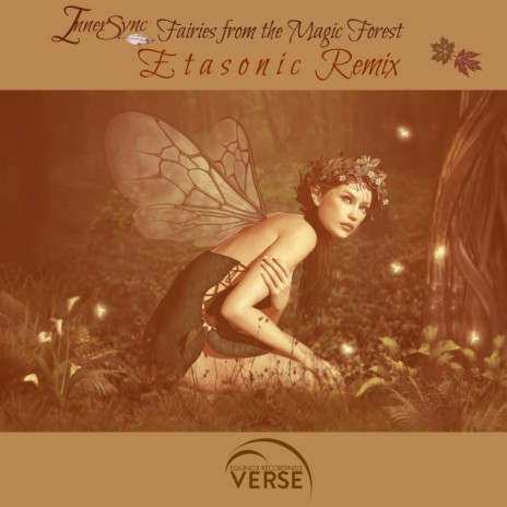 Fairies From The Magic Forest (Etasonic Remix) | Boomplay Music