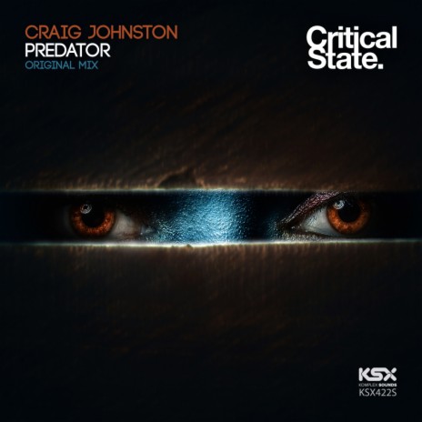 Predator (Original Mix) | Boomplay Music