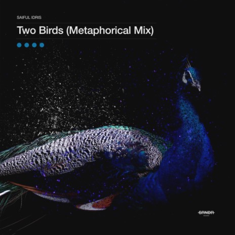 Two Birds (Metaphorical Mix)