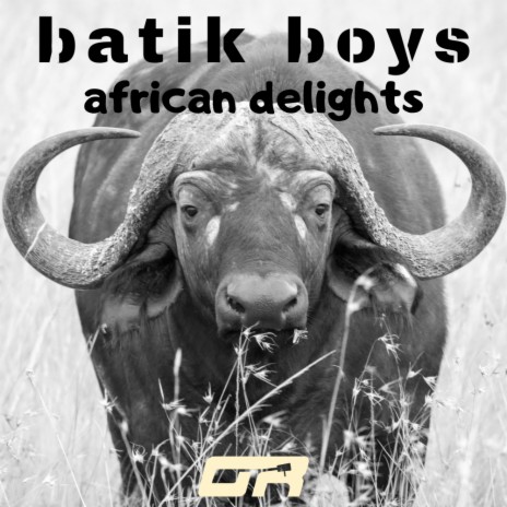 African Delights (Radio Edit) | Boomplay Music