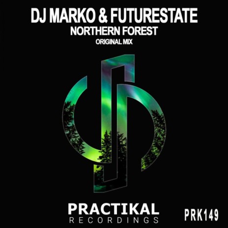 Northern Forest (Original Mix) ft. Future State | Boomplay Music