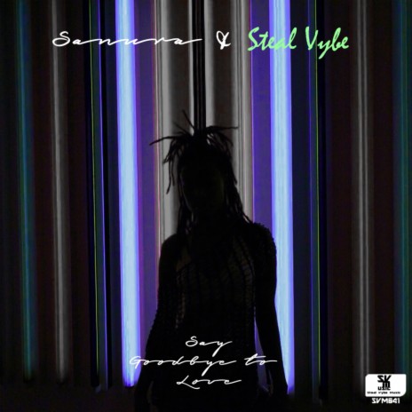 Say Goodbye To Love (Chris-Forman’S Boogie Paradise Mix) ft. Steal Vybe | Boomplay Music