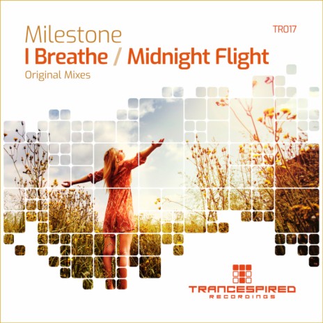 Midnight Flight (Original Mix)