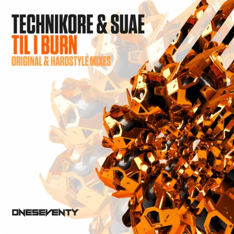 Til I Burn (Hardstyle Extended Mix) ft. Suae | Boomplay Music