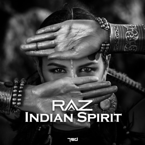 Indian Spirit (Original Mix) | Boomplay Music