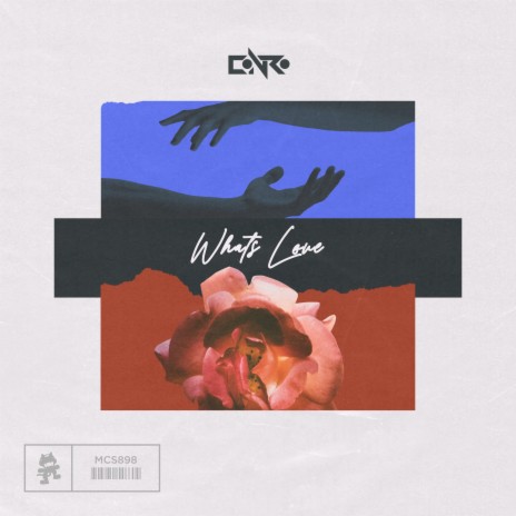 What's Love | Boomplay Music