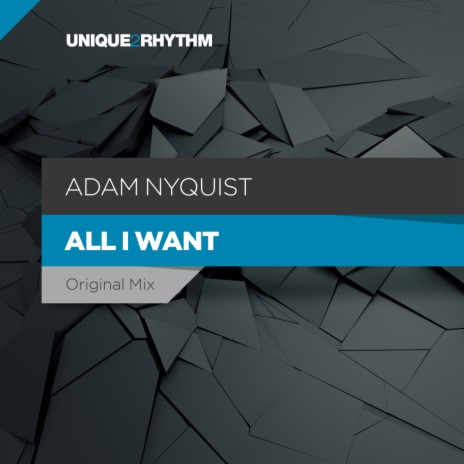 All I Want (Original Mix) | Boomplay Music