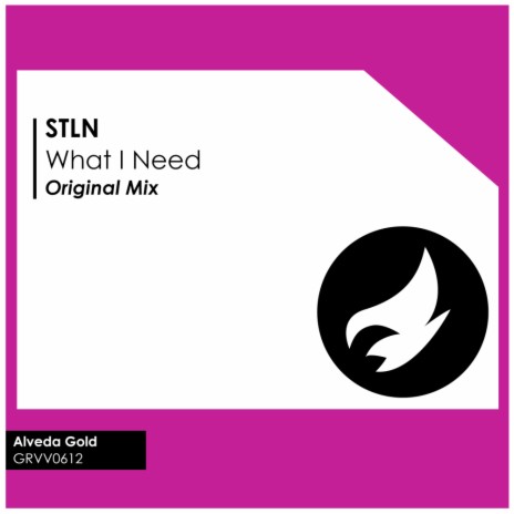 What I Need (Original Mix) | Boomplay Music