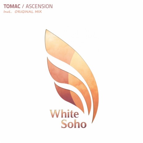 Ascension (Original Mix) | Boomplay Music