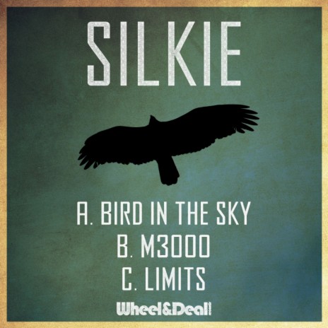Bird In The Sky (Original Mix)