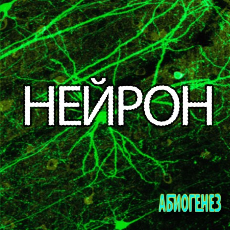 Знамение нетленности | Boomplay Music