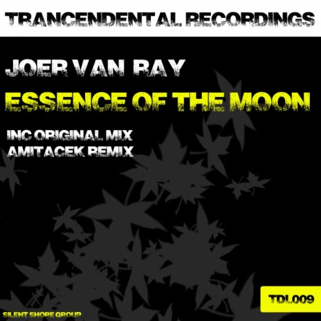 Essence Of The Moon (Original Mix)