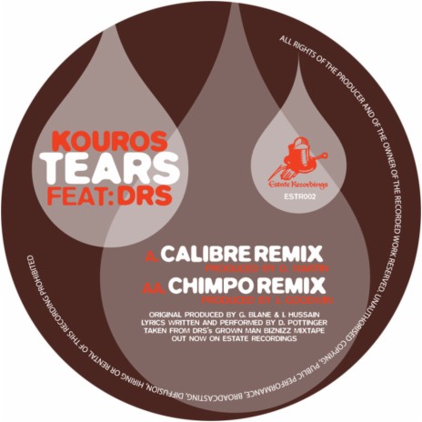 Tears (Calibre Remix) ft. DRS | Boomplay Music