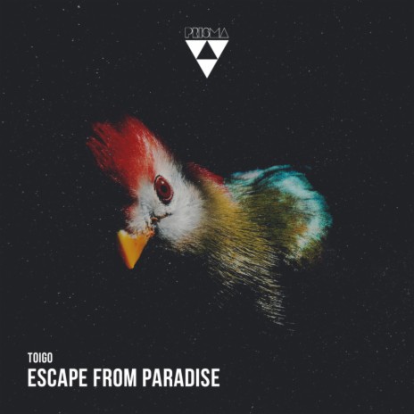 Escape From Paradise (Original Mix)
