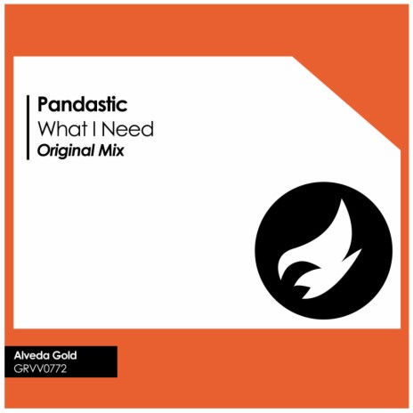 What I Need (Original Mix) | Boomplay Music