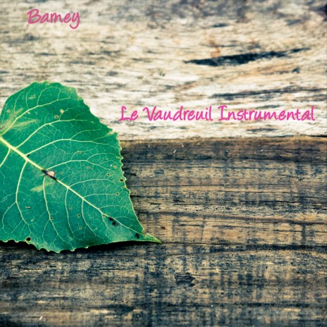 Le Vaudreuil (Instrumental) | Boomplay Music