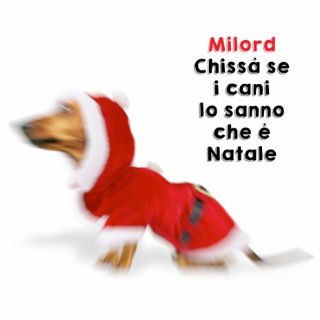 Chissà se i cani lo sanno che è Natale | Boomplay Music