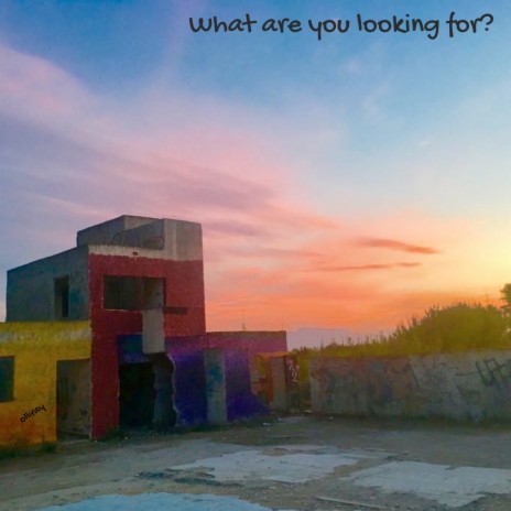 What Are You Looking For? ft. Hayley Cutler | Boomplay Music