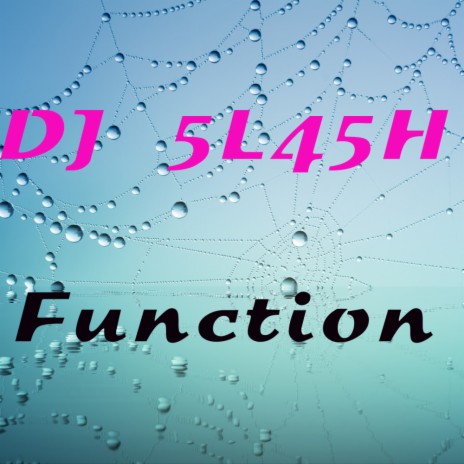 Function (Original Mix)