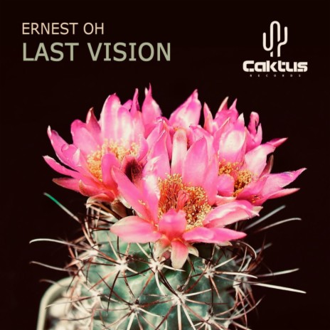 Last Vision (Original Mix)