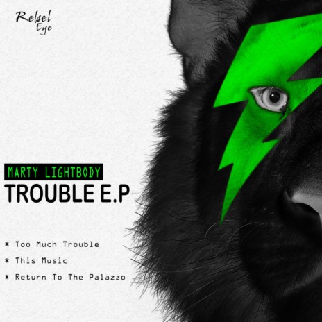 Too Much Trouble (Original Mix)