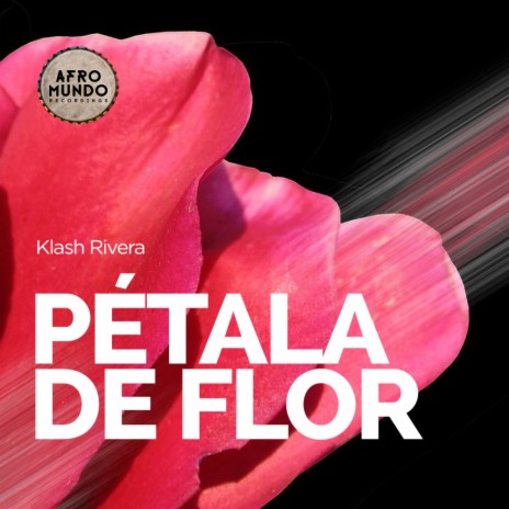 Petala De Flor (Instrumental)