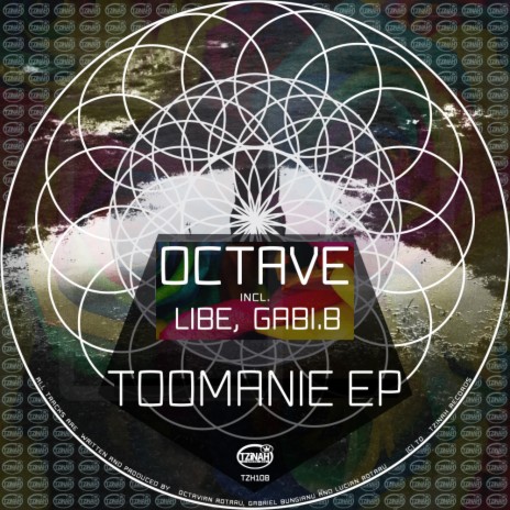 Toomanie (Original Mix) ft. Gabi.B | Boomplay Music