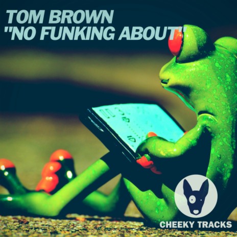 No Funking About (Original Mix) | Boomplay Music