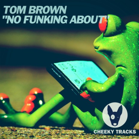 No Funking About (Original Mix)