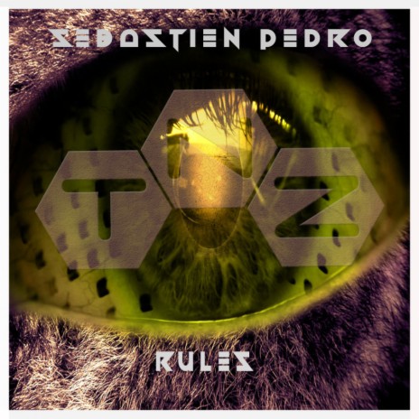 Rules (Original Mix)