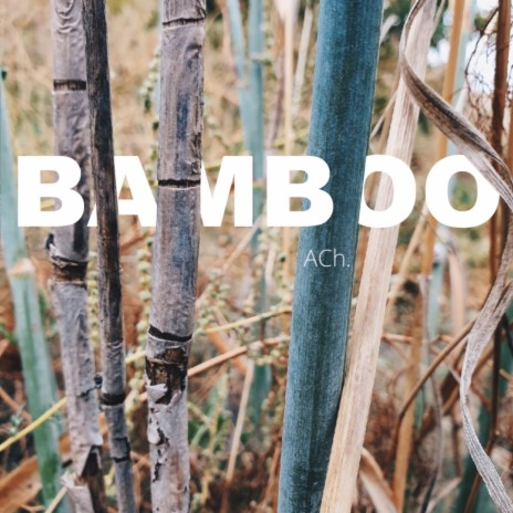 bamboo | Boomplay Music