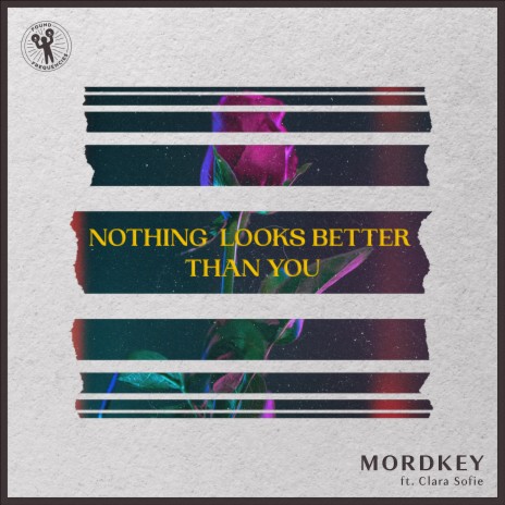 Nothing Looks Better Than You ft. Clara Sofie | Boomplay Music