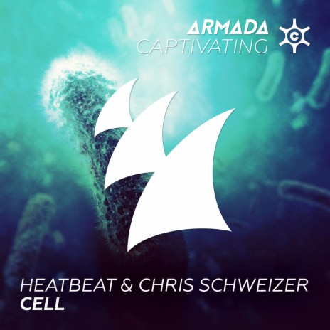 Cell ft. Chris Schweizer | Boomplay Music